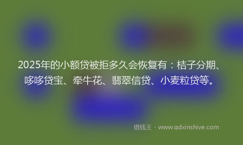2025年的小额贷被拒多久会恢复有：桔子分期、哆哆贷宝、牵牛花、翡翠信贷、小麦粒贷等。