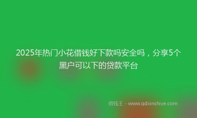 2025年热门小花借钱好下款吗安全吗，分享5个黑户可以下的贷款平台