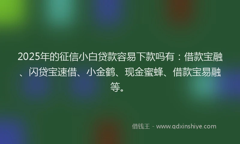 2025年的征信小白贷款容易下款吗有：借款宝融、闪贷宝速借、小金鹤、现金蜜蜂、借款宝易融等。