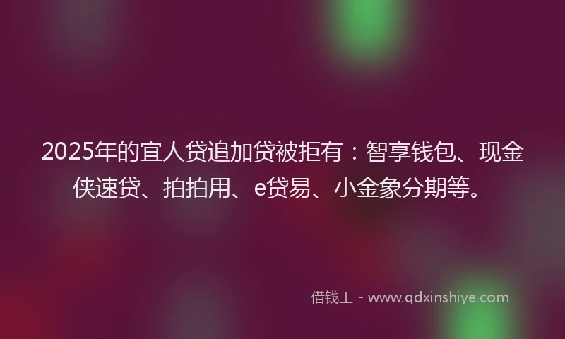 2025年的宜人贷追加贷被拒有：智享钱包、现金侠速贷、拍拍用、e贷易、小金象分期等。