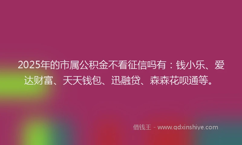 2025年的市属公积金不看征信吗有：钱小乐、爱达财富、天天钱包、迅融贷、森森花呗通等。