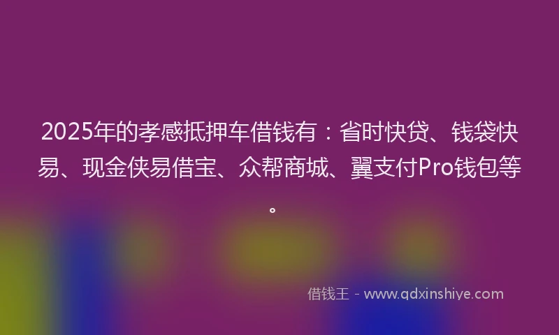 2025年的孝感抵押车借钱有：省时快贷、钱袋快易、现金侠易借宝、众帮商城、翼支付Pro钱包等。