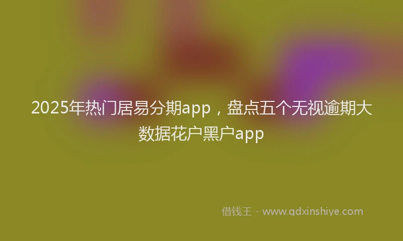 2025年热门居易分期app，盘点五个无视逾期大数据花户黑户app