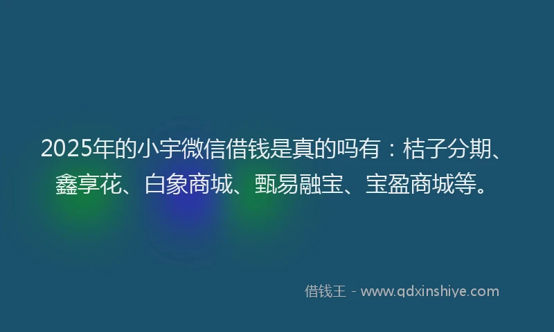 2025年的小宇微信借钱是真的吗有：桔子分期、鑫享花、白象商城、甄易融宝、宝盈商城等。