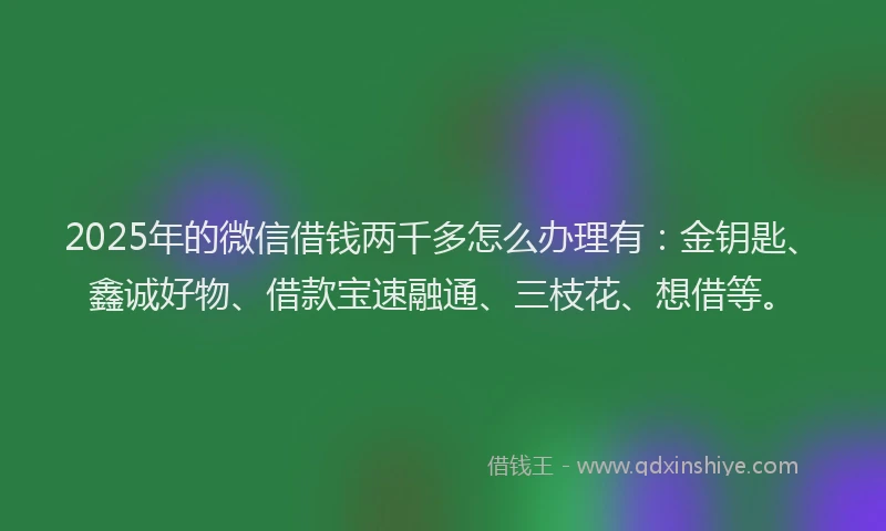 2025年的微信借钱两千多怎么办理有：金钥匙、鑫诚好物、借款宝速融通、三枝花、想借等。