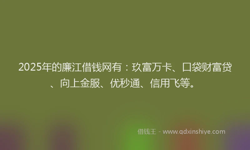 2025年的廉江借钱网有：玖富万卡、口袋财富贷、向上金服、优秒通、信用飞等。