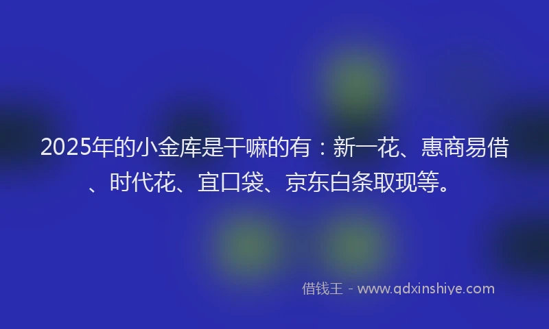 2025年的小金库是干嘛的有：新一花、惠商易借、时代花、宜口袋、京东白条取现等。