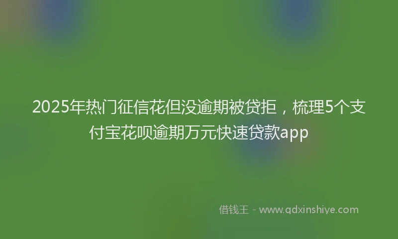 2025年热门征信花但没逾期被贷拒，梳理5个支付宝花呗逾期万元快速贷款app