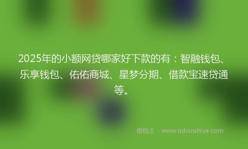 2025年的小额网贷哪家好下款的有：智融钱包、乐享钱包、佑佑商城、星梦分期、借款宝速贷通等。