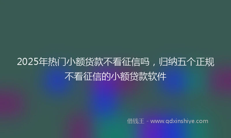 2025年热门小额货款不看征信吗，归纳五个正规不看征信的小额贷款软件