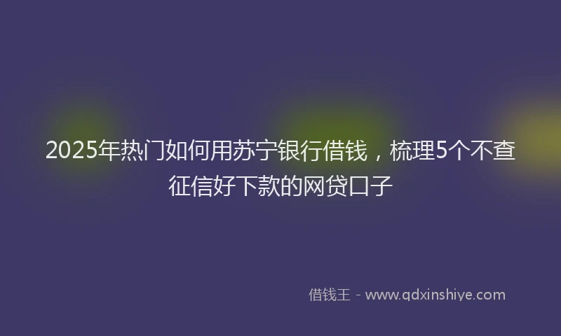 2025年热门如何用苏宁银行借钱，梳理5个不查征信好下款的网贷口子