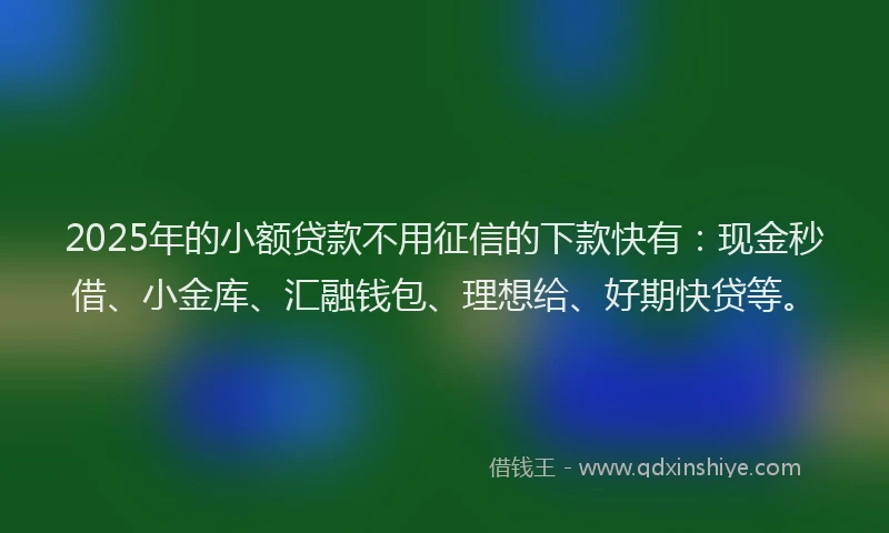 2025年的小额贷款不用征信的下款快有：现金秒借、小金库、汇融钱包、理想给、好期快贷等。
