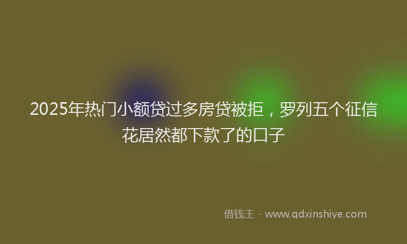 2025年热门小额贷过多房贷被拒，罗列五个征信花居然都下款了的口子