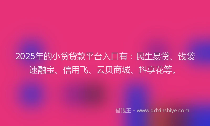2025年的小贷贷款平台入口有：民生易贷、钱袋速融宝、信用飞、云贝商城、抖享花等。
