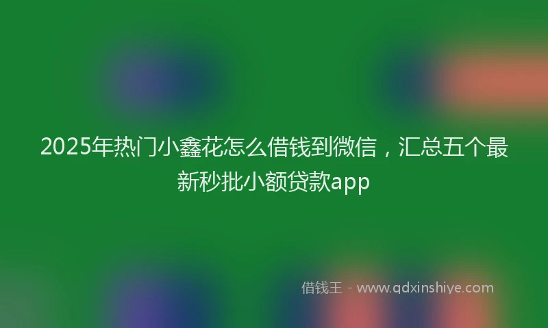 2025年热门小鑫花怎么借钱到微信，汇总五个最新秒批小额贷款app