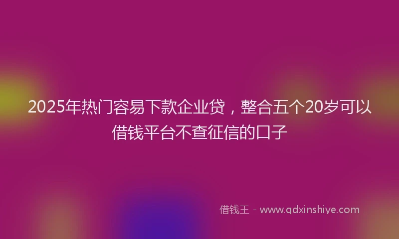 2025年热门容易下款企业贷，整合五个20岁可以借钱平台不查征信的口子