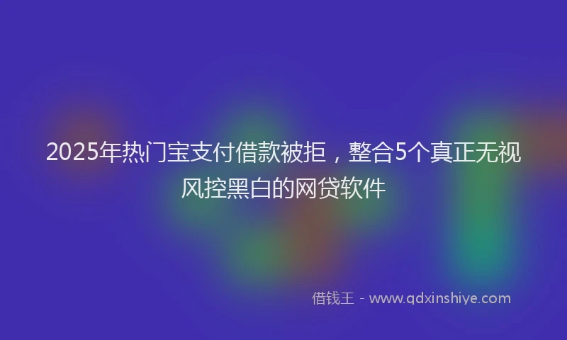2025年热门宝支付借款被拒，整合5个真正无视风控黑白的网贷软件