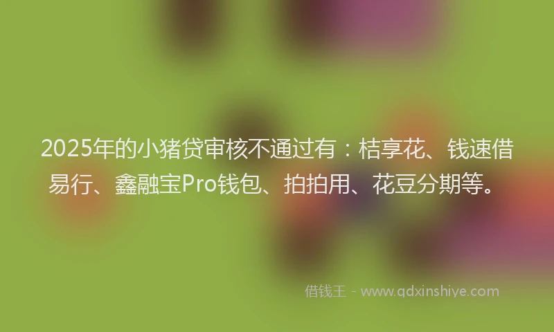 2025年的小猪贷审核不通过有：桔享花、钱速借易行、鑫融宝Pro钱包、拍拍用、花豆分期等。