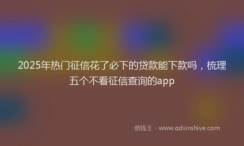 2025年热门征信花了必下的贷款能下款吗，梳理五个不看征信查询的app