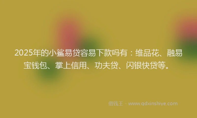 2025年的小鲨易贷容易下款吗有：维品花、融易宝钱包、掌上信用、功夫贷、闪银快贷等。