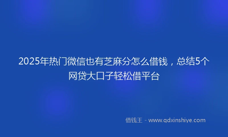 2025年热门微信也有芝麻分怎么借钱，总结5个网贷大口子轻松借平台