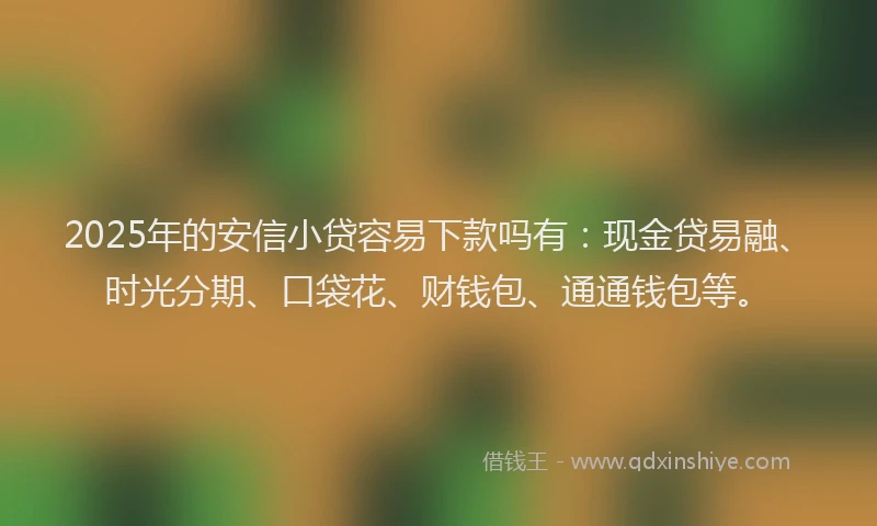 2025年的安信小贷容易下款吗有：现金贷易融、时光分期、口袋花、财钱包、通通钱包等。