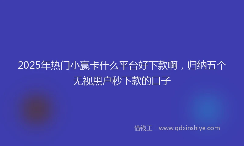 2025年热门小赢卡什么平台好下款啊，归纳五个无视黑户秒下款的口子