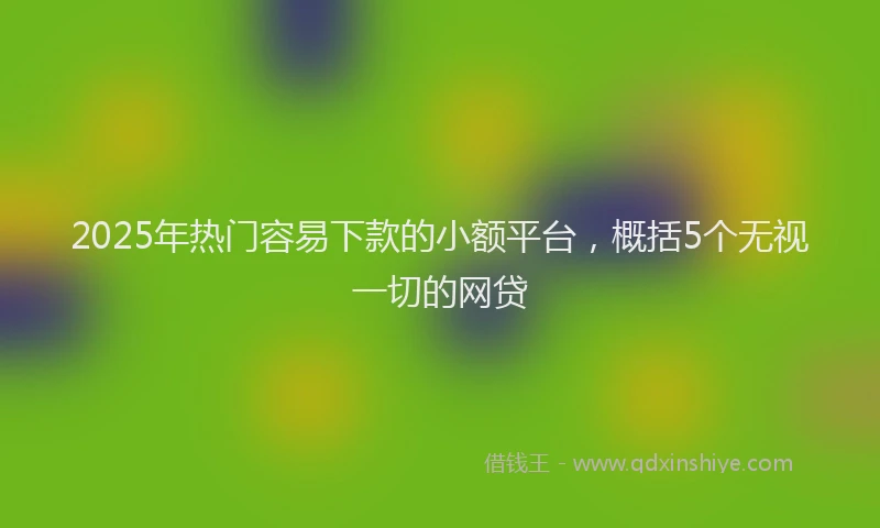 2025年热门容易下款的小额平台，概括5个无视一切的网贷