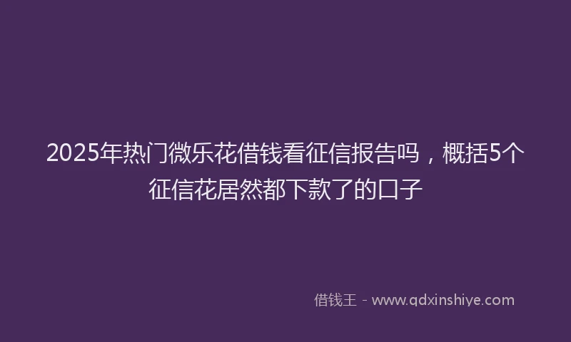 2025年热门微乐花借钱看征信报告吗，概括5个征信花居然都下款了的口子
