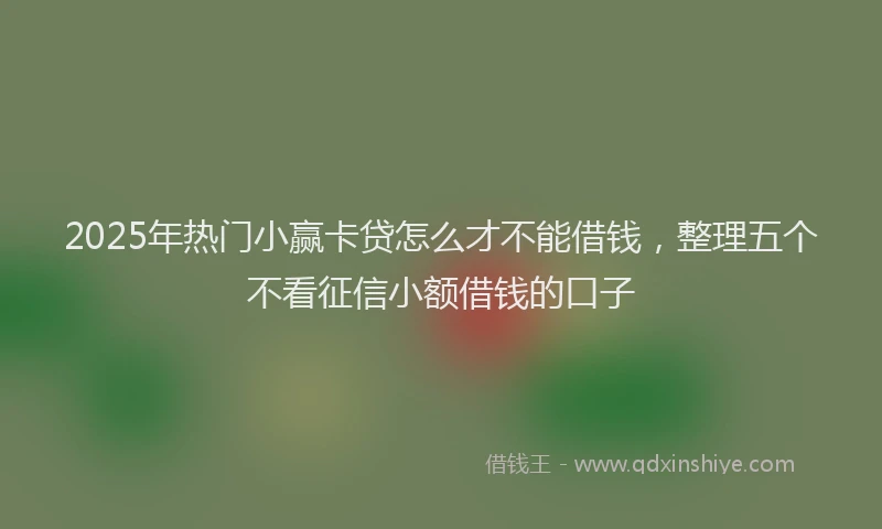 2025年热门小赢卡贷怎么才不能借钱，整理五个不看征信小额借钱的口子