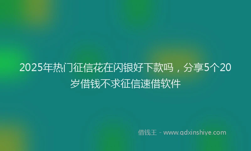 2025年热门征信花在闪银好下款吗，分享5个20岁借钱不求征信速借软件