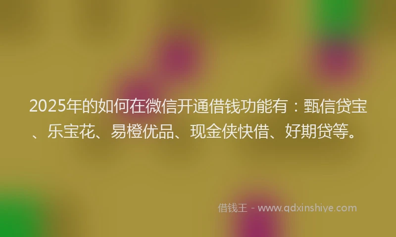 2025年的如何在微信开通借钱功能有：甄信贷宝、乐宝花、易橙优品、现金侠快借、好期贷等。