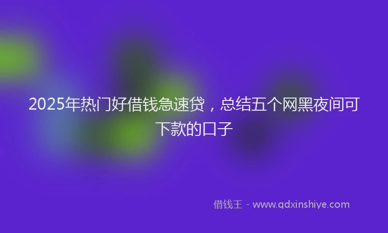 2025年热门好借钱急速贷，总结五个网黑夜间可下款的口子