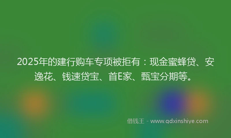 2025年的建行购车专项被拒有：现金蜜蜂贷、安逸花、钱速贷宝、首E家、甄宝分期等。