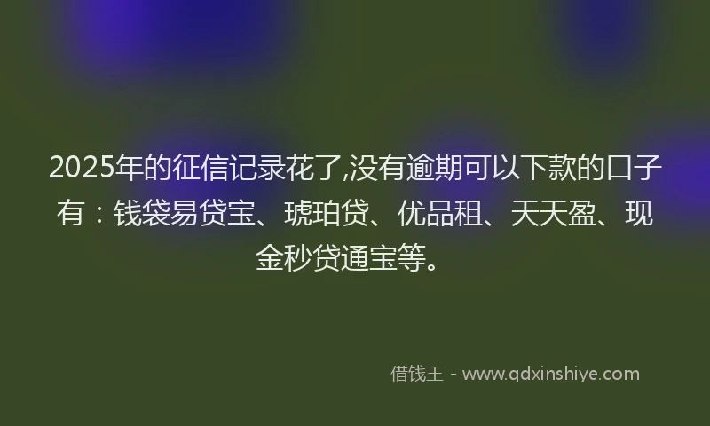 2025年的征信记录花了,没有逾期可以下款的口子有：钱袋易贷宝、琥珀贷、优品租、天天盈、现金秒贷通宝等。