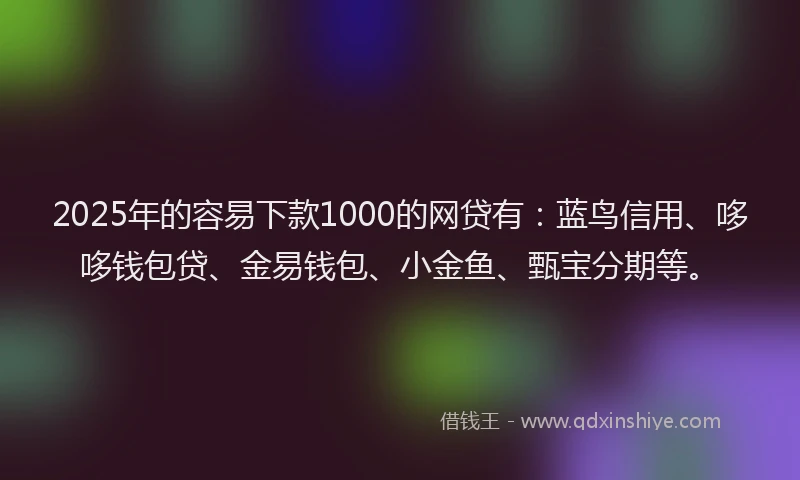 2025年的容易下款1000的网贷有：蓝鸟信用、哆哆钱包贷、金易钱包、小金鱼、甄宝分期等。
