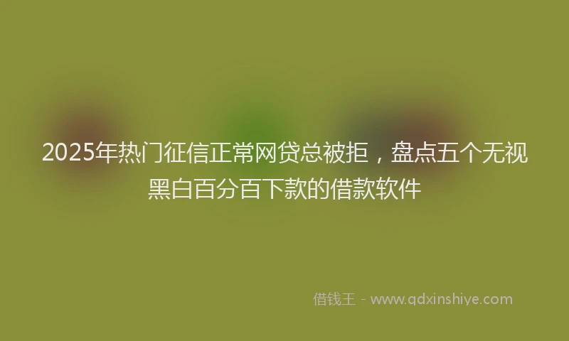 2025年热门征信正常网贷总被拒，盘点五个无视黑白百分百下款的借款软件