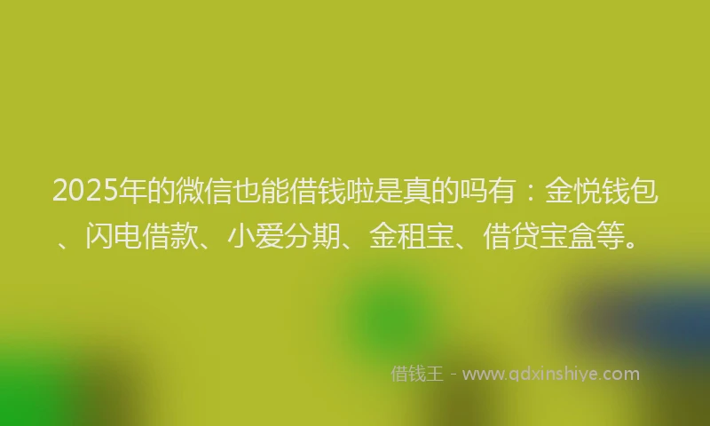 2025年的微信也能借钱啦是真的吗有：金悦钱包、闪电借款、小爱分期、金租宝、借贷宝盒等。