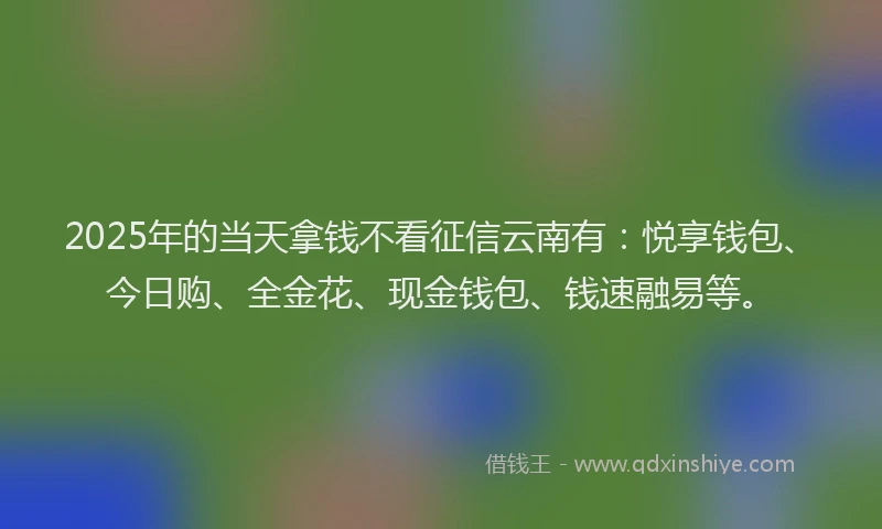 2025年的当天拿钱不看征信云南有：悦享钱包、今日购、全金花、现金钱包、钱速融易等。