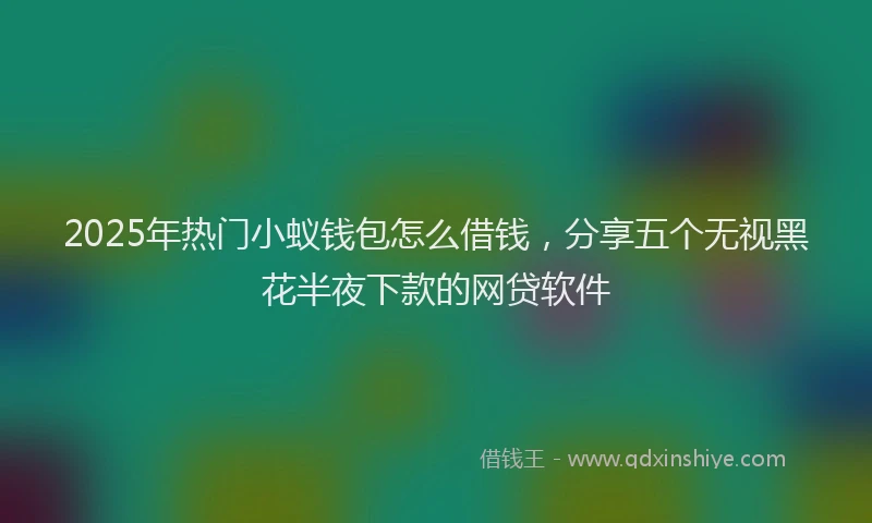 2025年热门小蚁钱包怎么借钱，分享五个无视黑花半夜下款的网贷软件