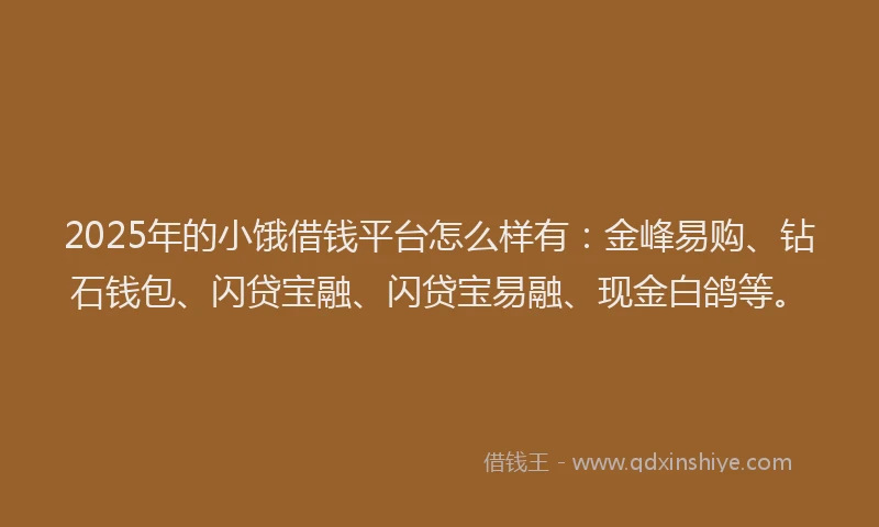 2025年的小饿借钱平台怎么样有：金峰易购、钻石钱包、闪贷宝融、闪贷宝易融、现金白鸽等。