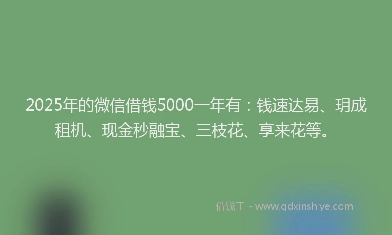 2025年的微信借钱5000一年有：钱速达易、玥成租机、现金秒融宝、三枝花、享来花等。
