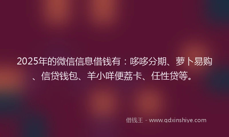 2025年的微信信息借钱有：哆哆分期、萝卜易购、信贷钱包、羊小咩便荔卡、任性贷等。