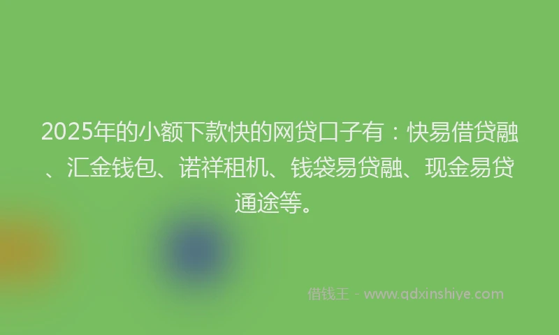2025年的小额下款快的网贷口子有：快易借贷融、汇金钱包、诺祥租机、钱袋易贷融、现金易贷通途等。