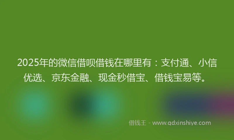 2025年的微信借呗借钱在哪里有：支付通、小信优选、京东金融、现金秒借宝、借钱宝易等。