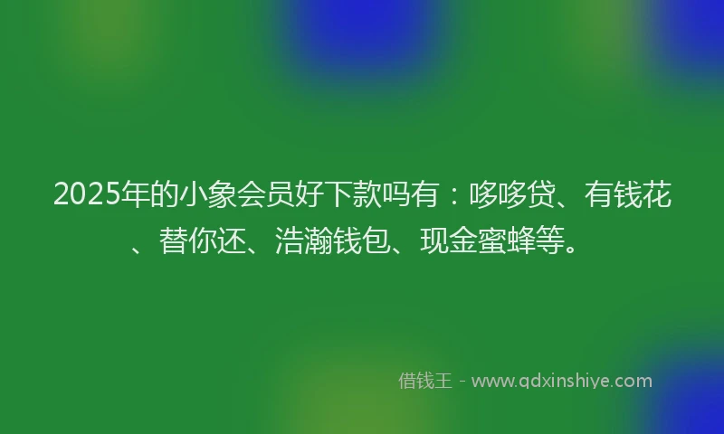2025年的小象会员好下款吗有：哆哆贷、有钱花、替你还、浩瀚钱包、现金蜜蜂等。