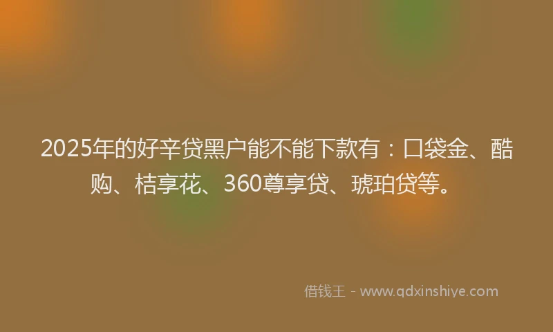 2025年的好辛贷黑户能不能下款有：口袋金、酷购、桔享花、360尊享贷、琥珀贷等。