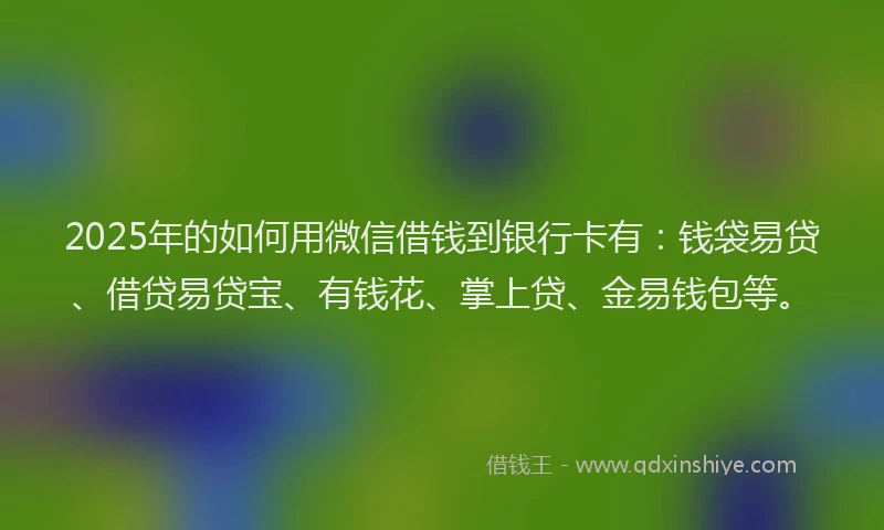 2025年的如何用微信借钱到银行卡有：钱袋易贷、借贷易贷宝、有钱花、掌上贷、金易钱包等。