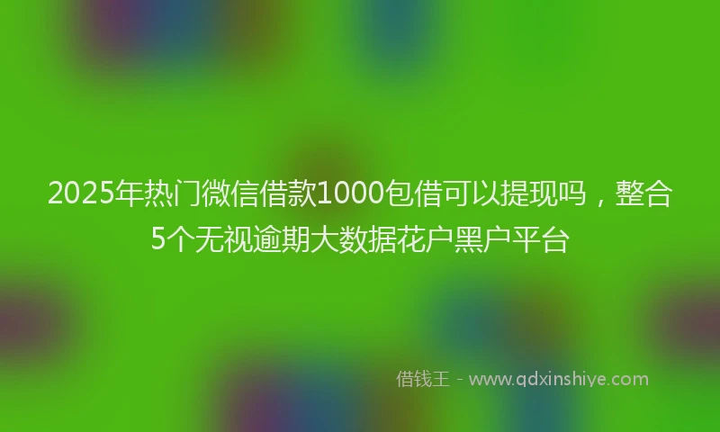 2025年热门微信借款1000包借可以提现吗，整合5个无视逾期大数据花户黑户平台