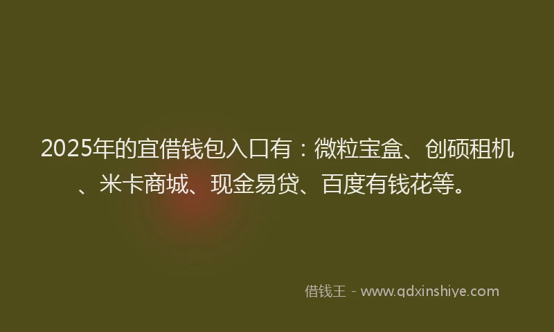 2025年的宜借钱包入口有：微粒宝盒、创硕租机、米卡商城、现金易贷、百度有钱花等。